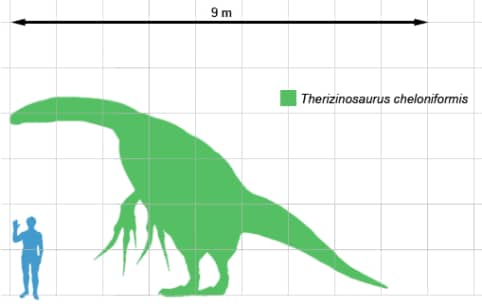 Therizinosaurus size