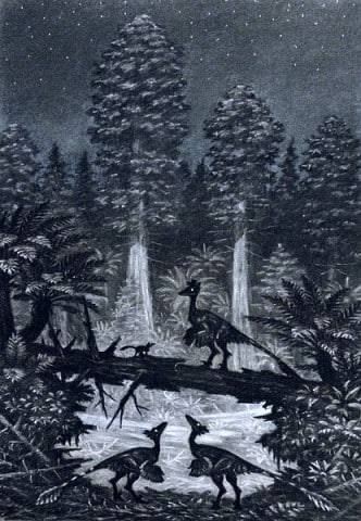 Troodon dinosaur at night