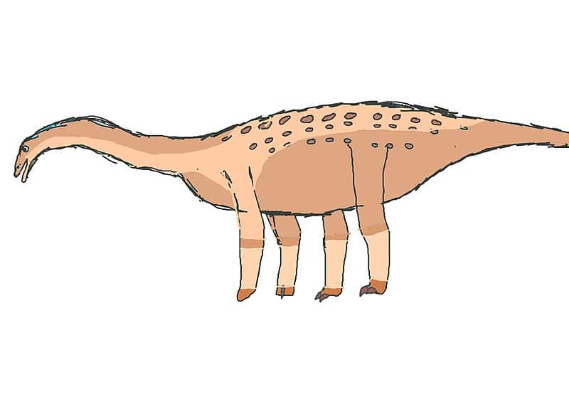 Aegyptosaurus dinosaur