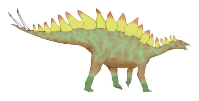 stegosaurs dinosaur