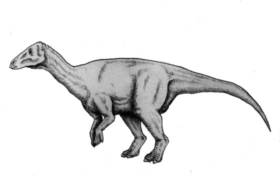 Telmatosaurus dinosaur
