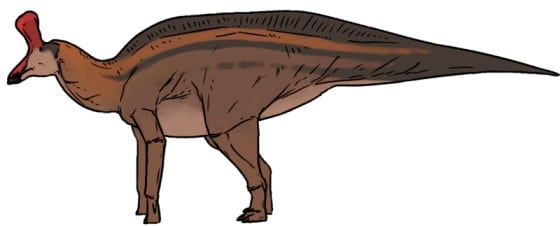 Tsintaosaurus dinosaur