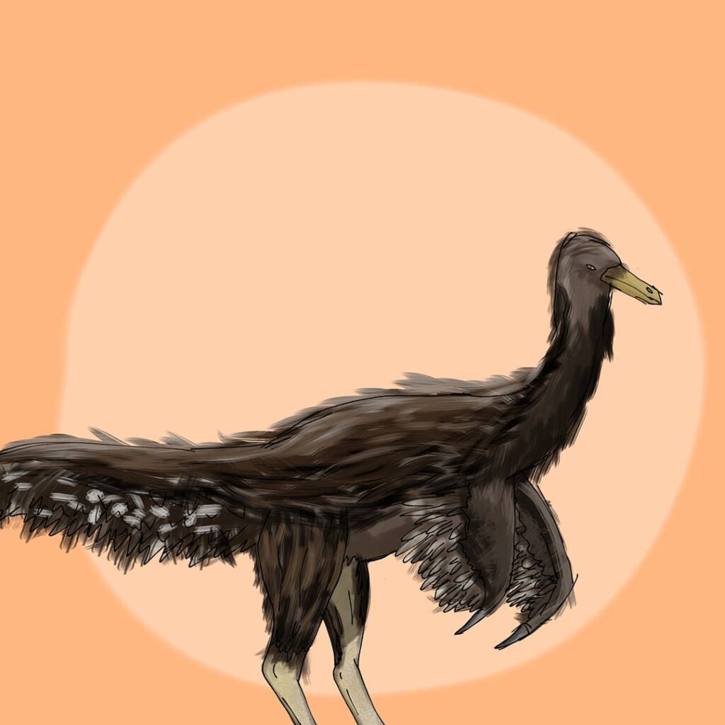 Aepyornithomimus dinosaur