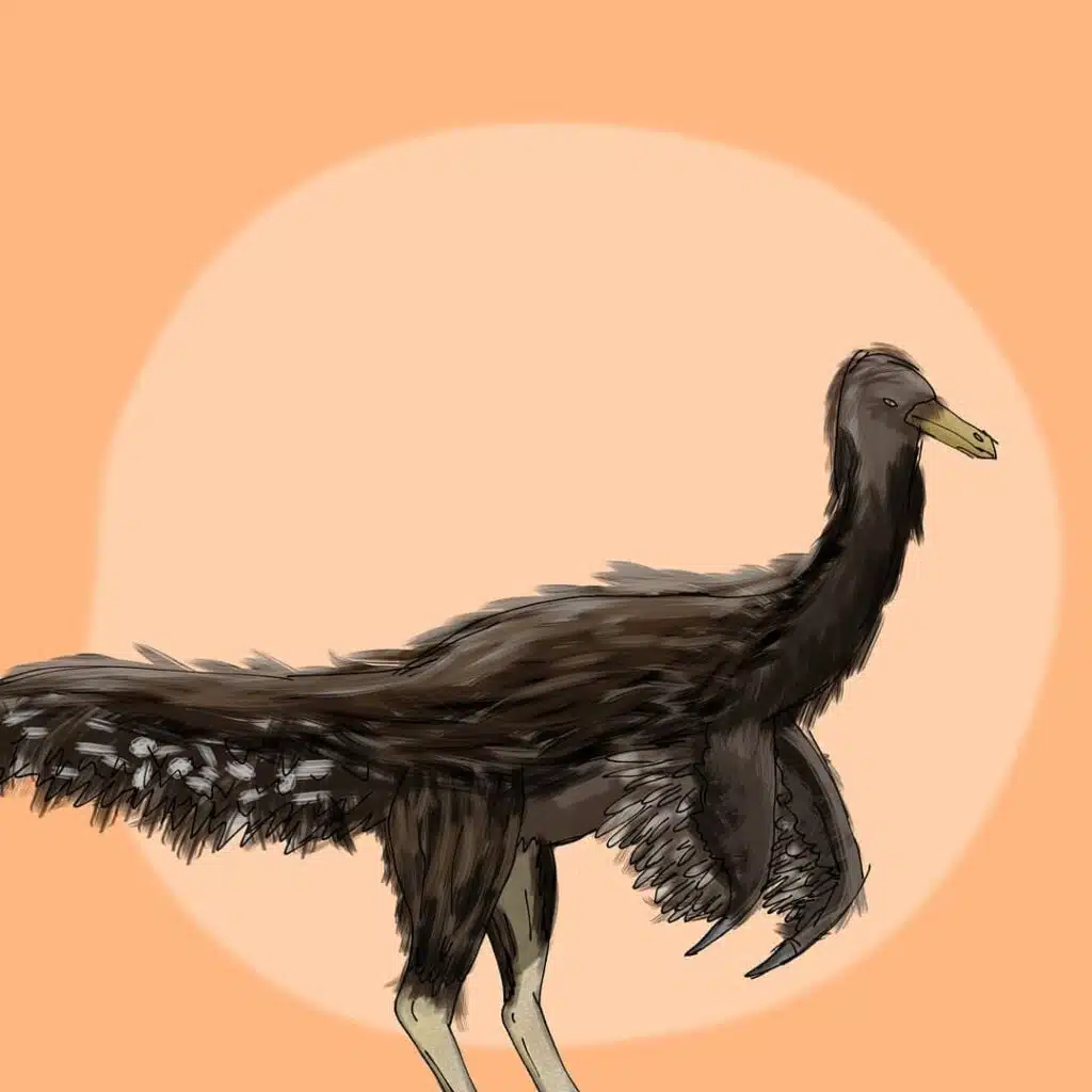 An illustration of A. tugrikinensis, the type species of the Aepyornithomimus genus, set against an orange background with a sun-like circle. This depiction shows the dinosaur with a feathered body, long tail, and beak-like mouth, highlighting its adaptations for an omnivorous diet. 