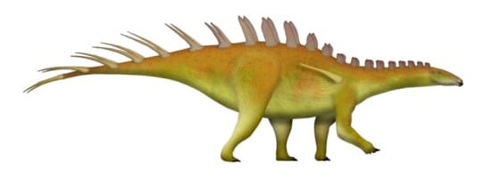 Dacentrurus dinosaur