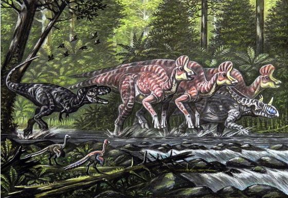 Corythosaurus dinosaurs