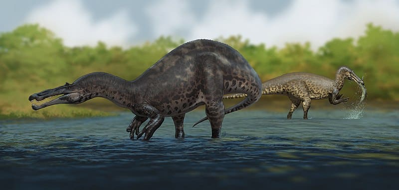 Suchomimus dinosaur