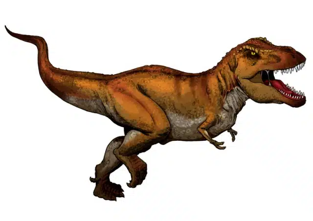 Digital illustration of Tyrannosaurus rex, a large carnivorous dinosaur from the Late Cretaceous period. The image shows T. rex in a running pose, highlighting its massive body, powerful legs, and sharp teeth. The dinosaur is depicted with a reddish-brown coloration, emphasizing its predatory adaptations and fierce appearance.