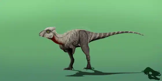 A digital rendering of Wannanosaurus yansiensis, a small ornithopod dinosaur, set against a gradient green background. The dinosaur is depicted with a grayish body and a red throat, standing on two legs with a long tail balancing its posture.