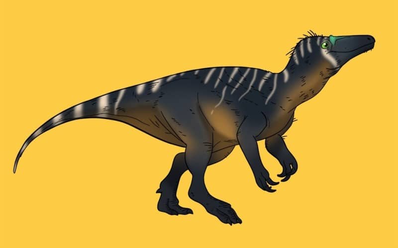 The Aerosteon is a unique theropod dinosaur from the Late Cretaceous. Discover its unique features, key facts and much more.