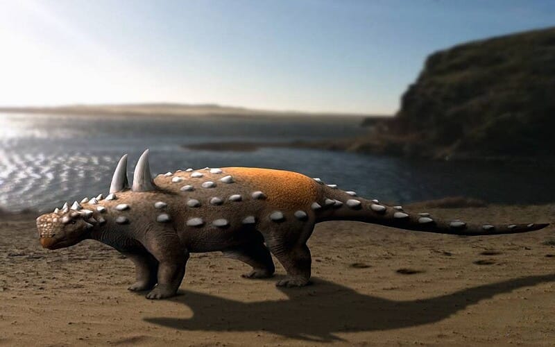 Discover the Aletopelta - A four legged herbivore dinosaur from the Tetrapod group, living where modern day California lies around 83.5 to 70.6 MYA.