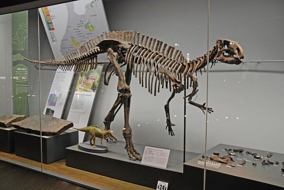 Fukuisaurus skeleton
