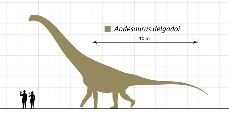Andesaurus size
