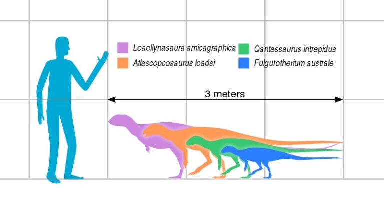 Atlascopcosaurus | The Early Cretaceous 
