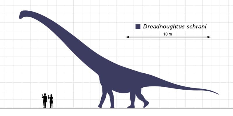 Dreadnoughtus size