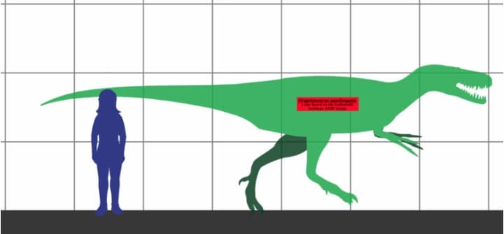 Dryptosaurus size