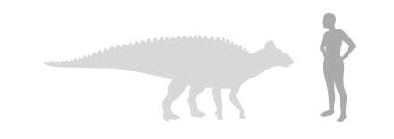Fukuisaurus size
