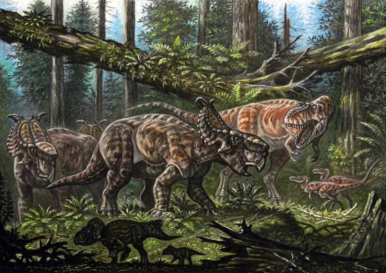 Albertosaurus confronting Pachyrhinosaurus
