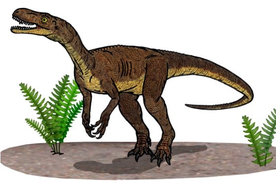 Drawing of the theropod dinosaur Eodromaeus murphi