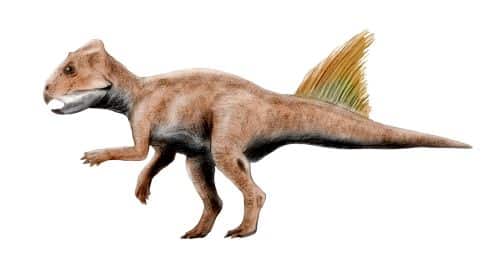 Archaeoceratops dinosaur