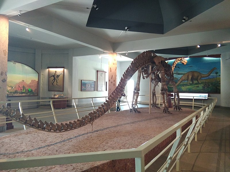 Mounted skeleton of Kotasaurus; based on the holotype