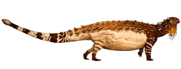 Illustration of the ankylosaur Pinacosaurus, drawn by Jack Wood for A-Dinosaur-A-Day.com.