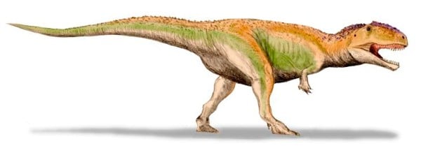 Giganotosaurus carolinii, a carcharodontosaurid from the Late Cretaceous of Argentina