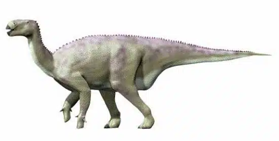 Digital illustration of an Iguanodon, a large herbivorous dinosaur from the Early Cretaceous period. The image shows Iguanodon walking on all fours, highlighting its robust body, long tail, and distinctive thumb spikes. This depiction emphasizes the dinosaur's physical characteristics and adaptations for a plant-based diet.