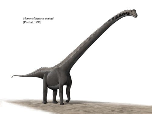 Mamenchisaurus youngi restoration