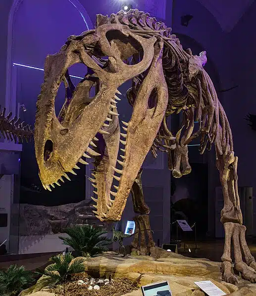 Giganotosaurus The Giant Predator Of The Late Cretaceous