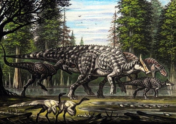 Albertosaurus hunting Saurolophus