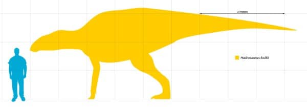 Size comparison of Hadrosaurus