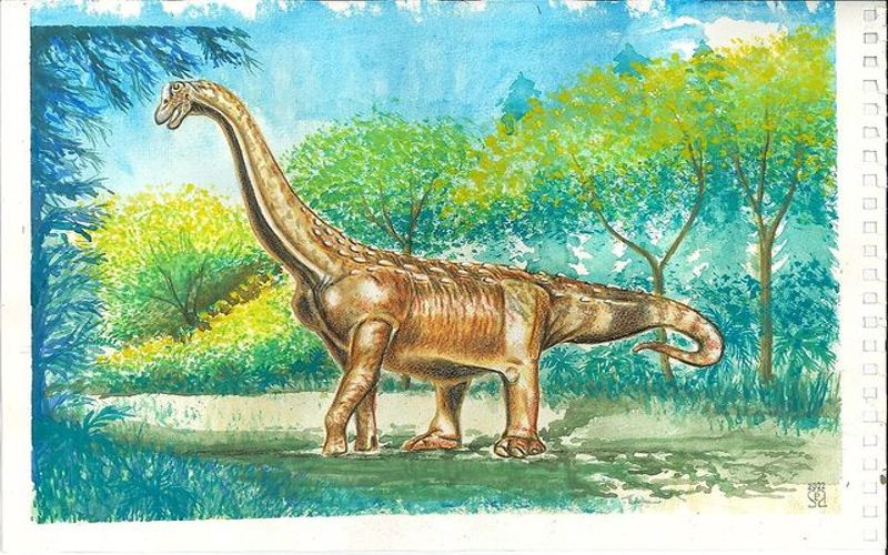 Lirainosaurus was a sauropod living in modern day Europe during the Late Cretaceous. Discover its origins, habitat, and other intriguing facts.