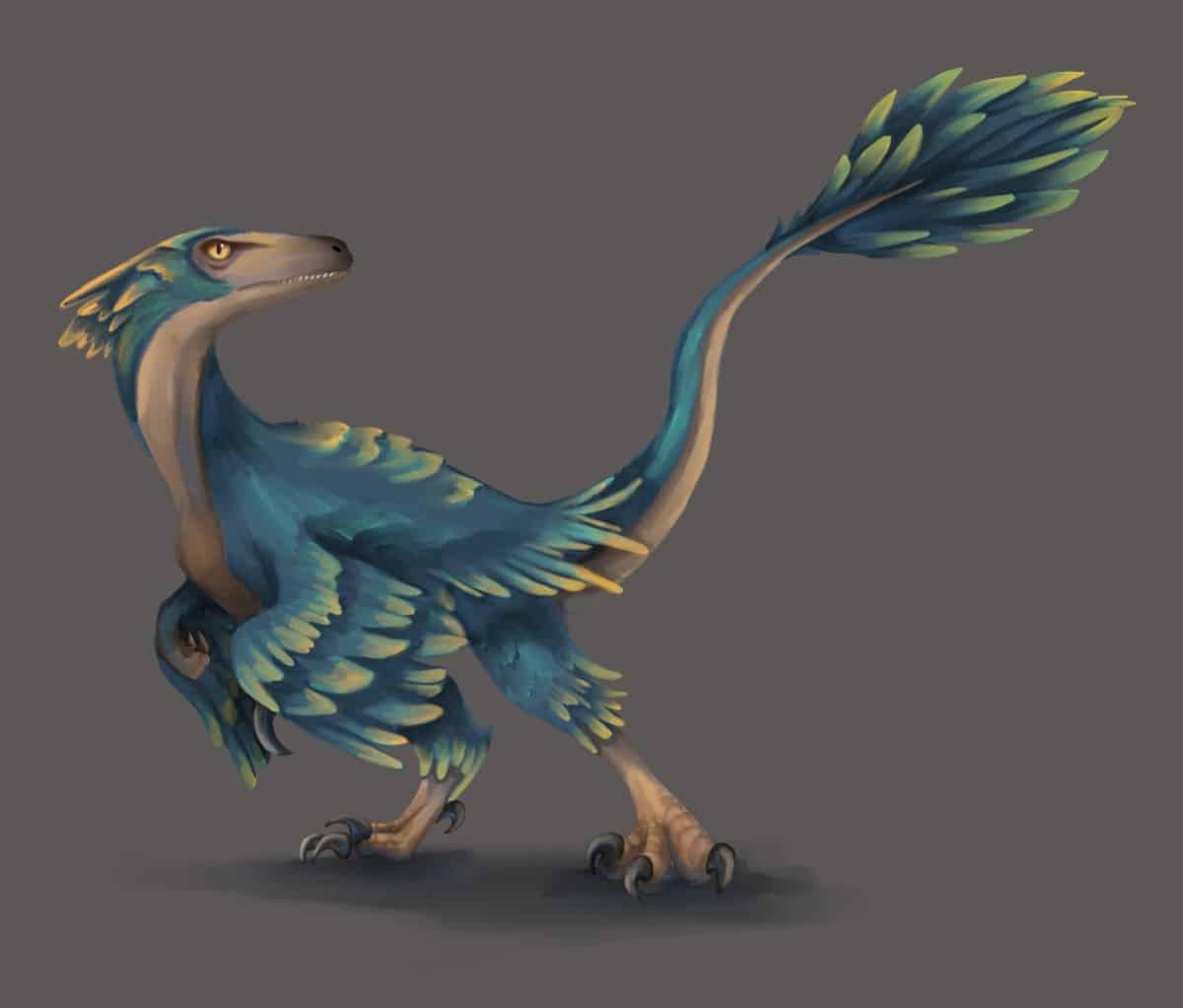 Velociraptor | A Swift Predator from the Cretaceous Period. The Velociraptor were feathered theropod dinosaurs about the size of a wolf. They lived in eastern Asia during the late Cretaceous period.