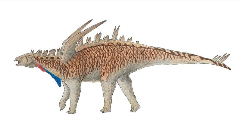 Gigantspinosaurus is a ornitischian dinosaur