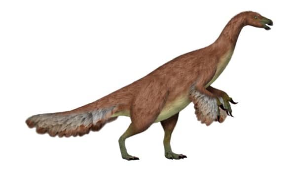Alxasaurus is a therizinosauroid theropod dinosaur from the Early Cretaceous of Mongolia