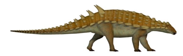 Hylaeosaurus is a nodosaurid Ankylosaur that lived about 136 milliion years ago, in the early Cretaceous period of England.