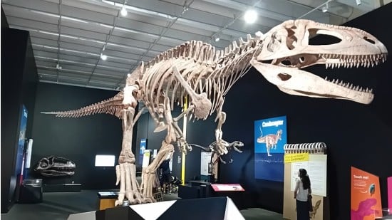 Dinosaurs of Patagonia Queensland Museum exhibition, Brisbane, Australia