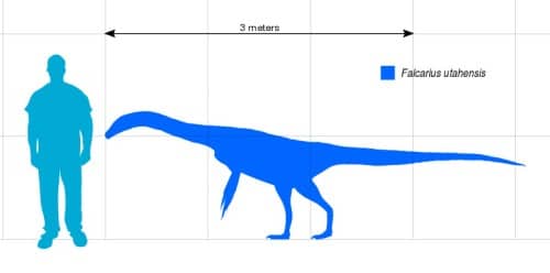 Size comparison of Falcarius utahensis, a therzinosaur from Utah. Based on Hartman (2013)