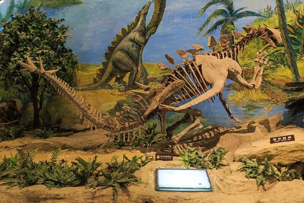 Skeletal mount of Gigantspinosaurus in the Zigong Dinosaur Museum