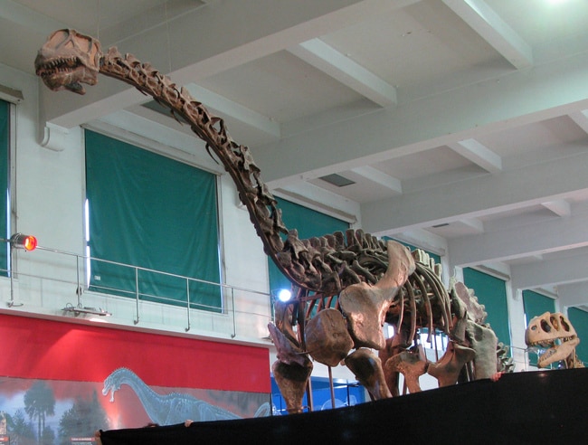 Restored skeleton with reconstructed skull, Museo Argentino de Ciencias Naturales