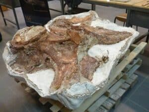 Patagotitan | The GIANT Sauropod of the Early Cretaceous