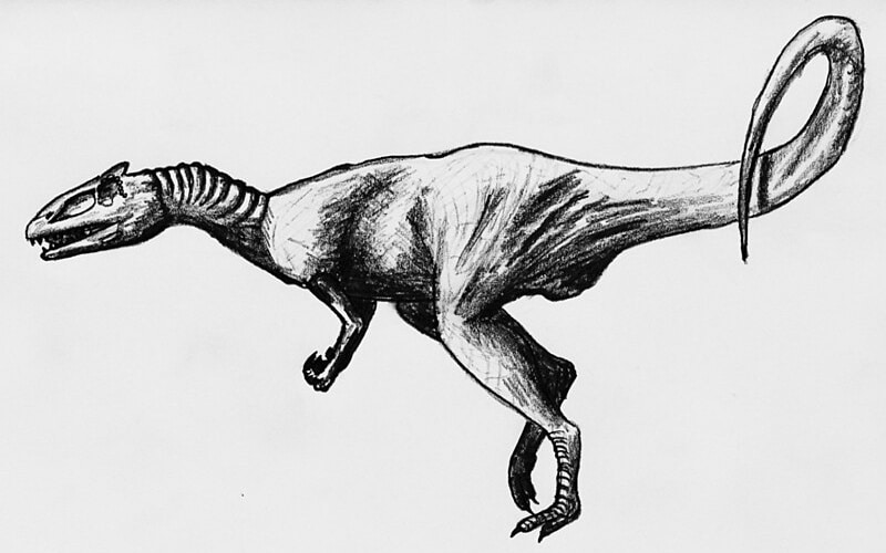 Deltadromeus, the "agile delta runner" of the Late Cretaceous Sahara. Discover its origins, habitat, and ongoing discussion of its true class.