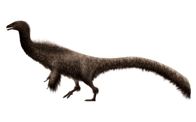 Falcarius was a unique herbivorous theropod from the Early Cretaceous. Discover its origins, habitat, and intriguing features.