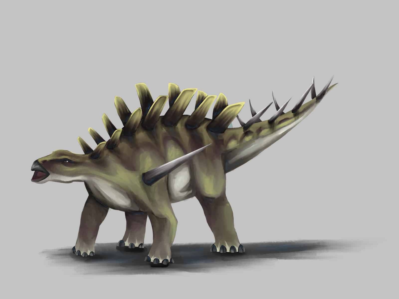 Kentrosaurus dinosaur with massive spikes on shoulders and back.