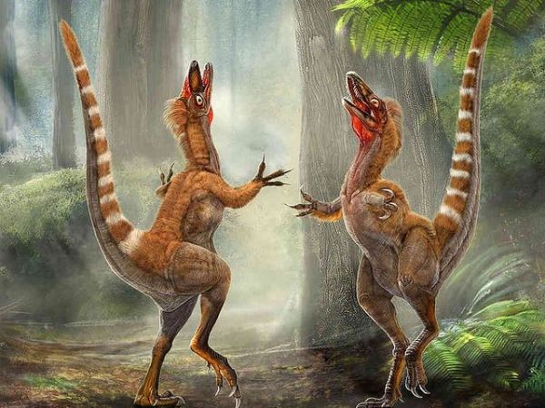 Aorun Dinosaurs