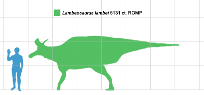 Size chart for Lambeosaurus lambei, scaled based on specimen 5131 Ct. R.O.M.P.