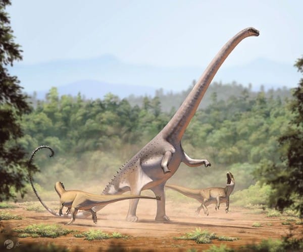 Life reconstruction of an individual rearing up to defend itself against a pair of Allosaurus