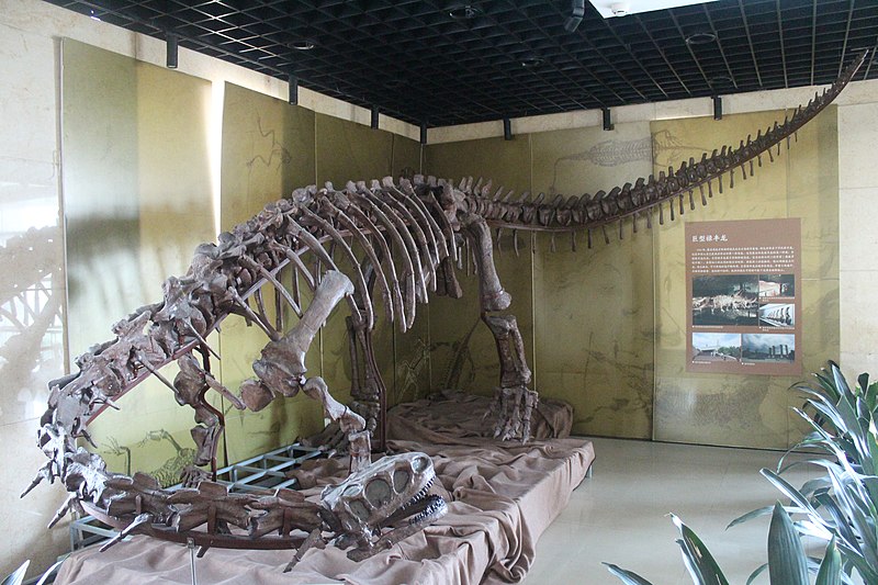 Skeletal mount of Lufengosaurus magnus on display at the Geological Museum of China.