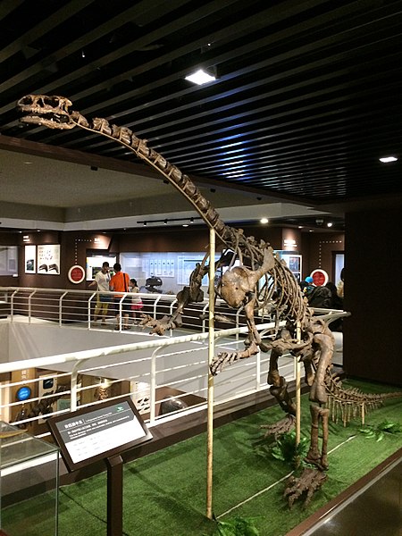 Lufengosaurus holotype at IVPP
